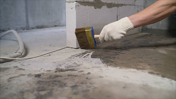 SJ Waterproofing Pros Waterproofing coverage map for Jacksons Gap, AL and surrounding area